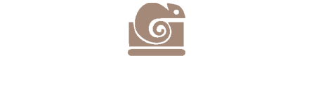 CHROMA FOTÒGRAFS